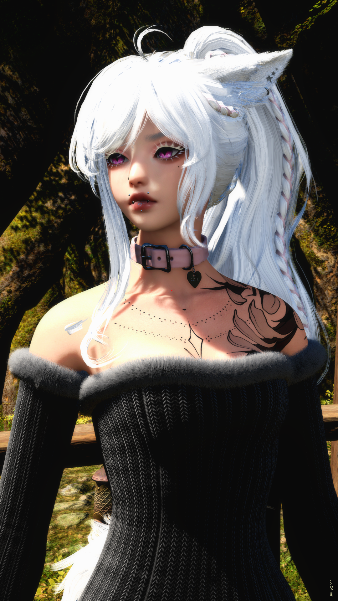 Weiss Katze portrait
